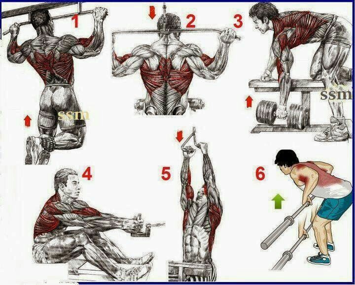 Как накачать мышцы плеч