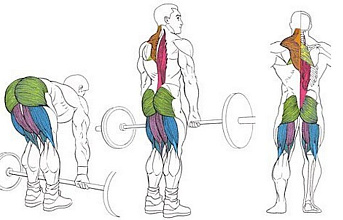 Мертвая тяга со штангой